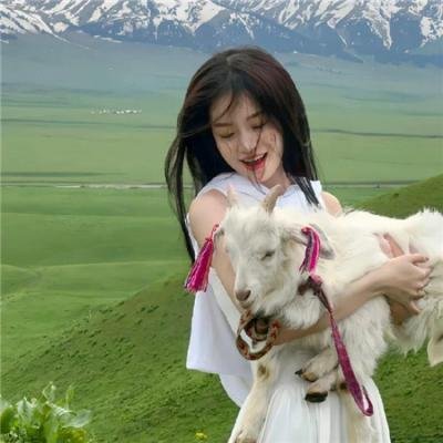 醉生梦死之湾仔之虎 在线观看